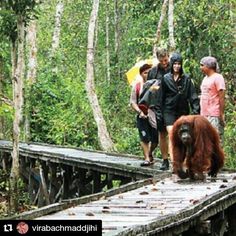 PKRI Investigasi - Pangkalan Bun. Risa Bana